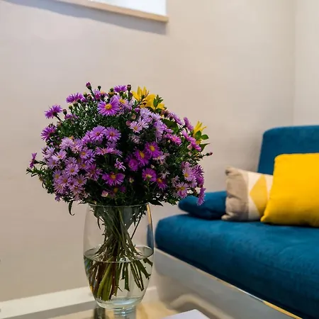 招待所 Tereza 杜布罗夫尼克